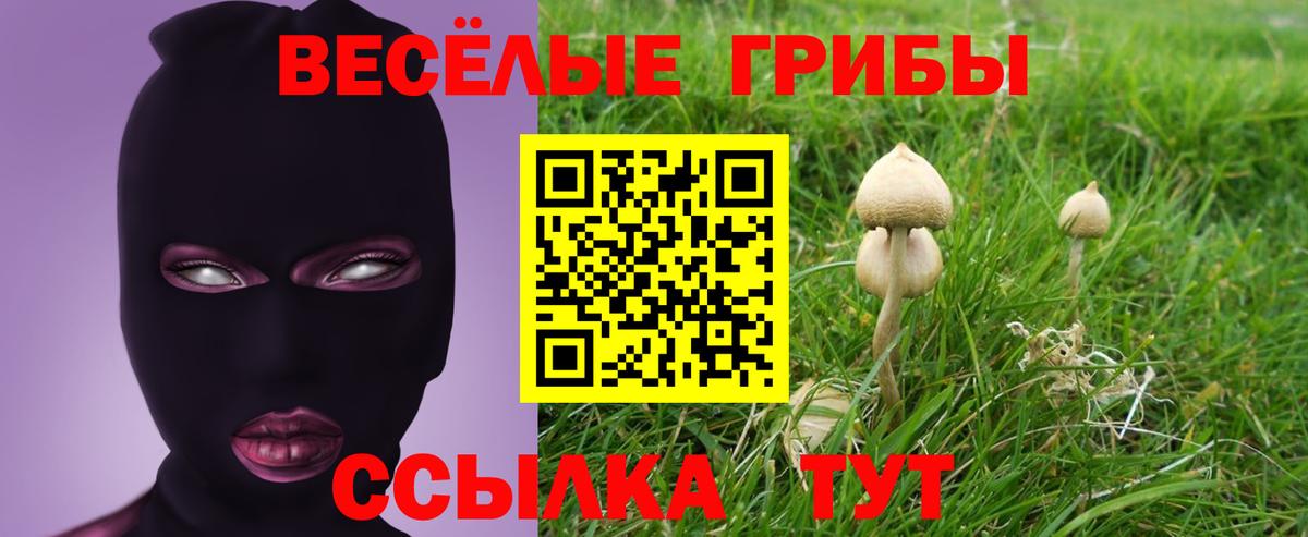 Клинцы  Галлюциногенные грибы GOLDEN TEACHER  Вход с VPN 